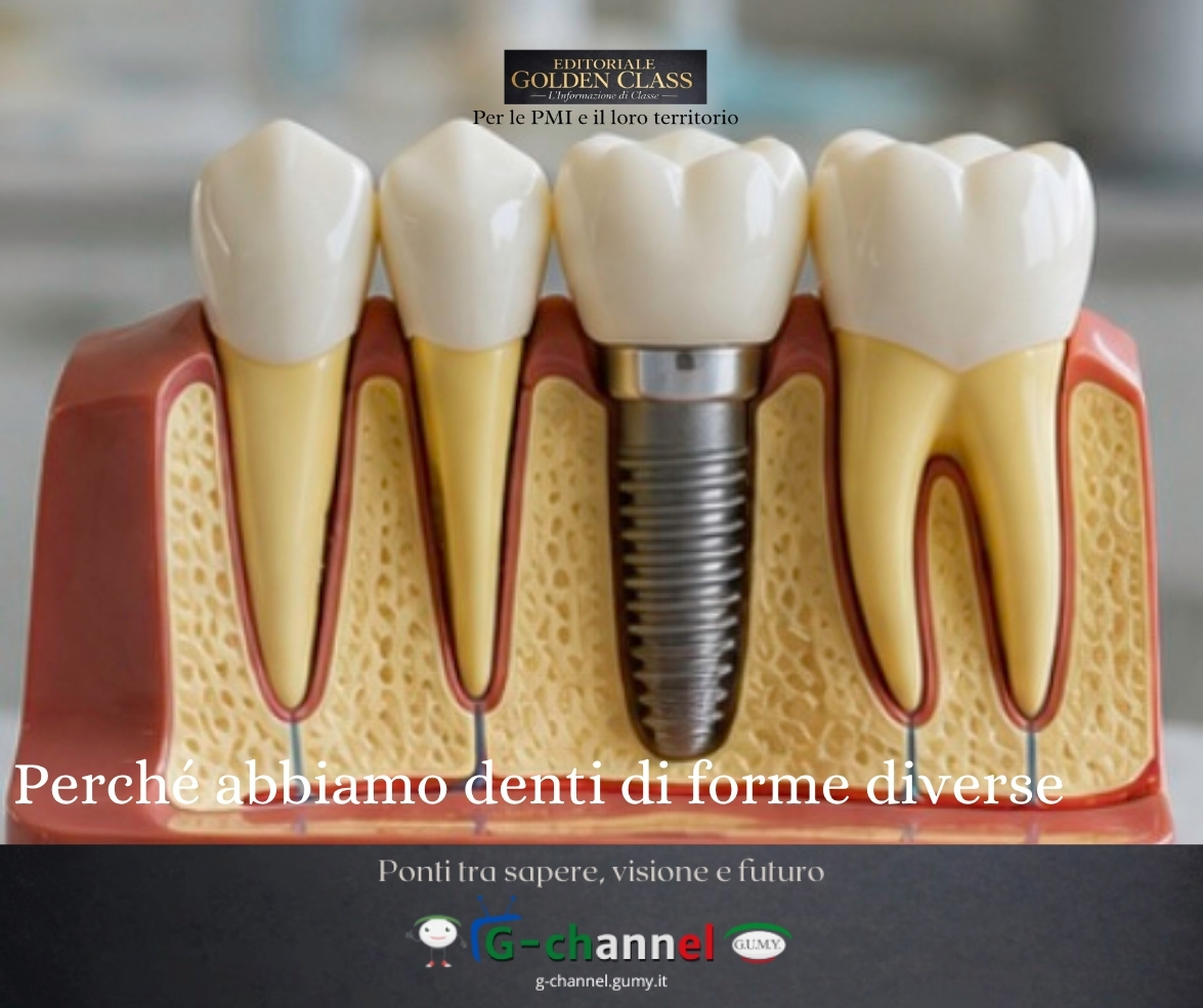 Perché abbiamo denti di forme diverse